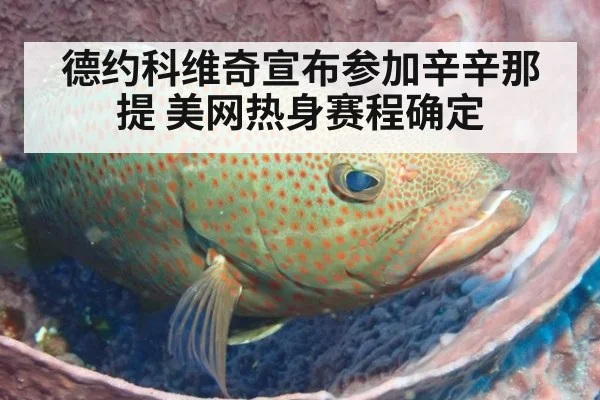 德约科维奇宣布参加辛辛那提 美网热身赛程确定