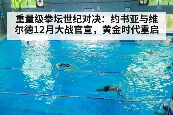 重量级拳坛世纪对决：约书亚与维尔德12月大战官宣，黄金时代重启